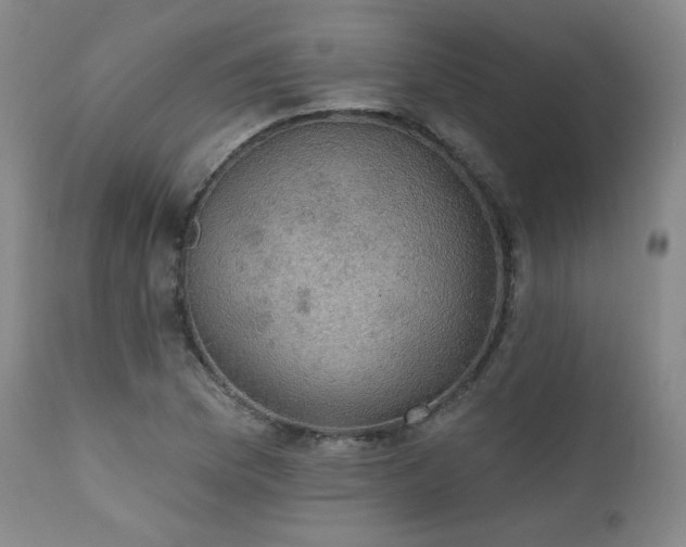X0000111441169200907131258