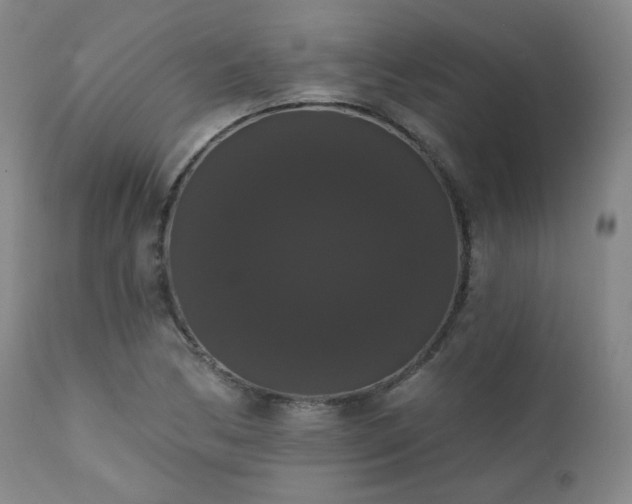 X0000111441170200907131258
