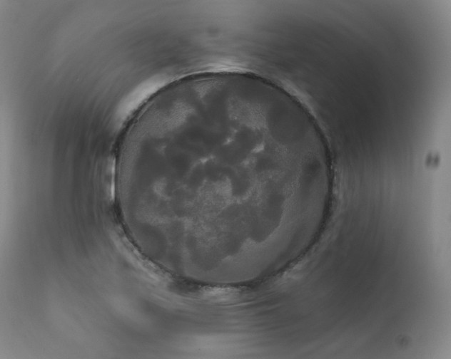 X0000111441171200907131258
