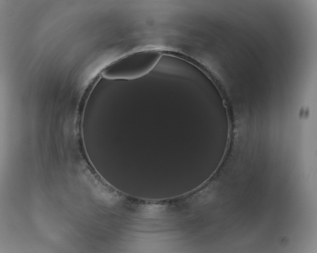 X0000111441173200907131258
