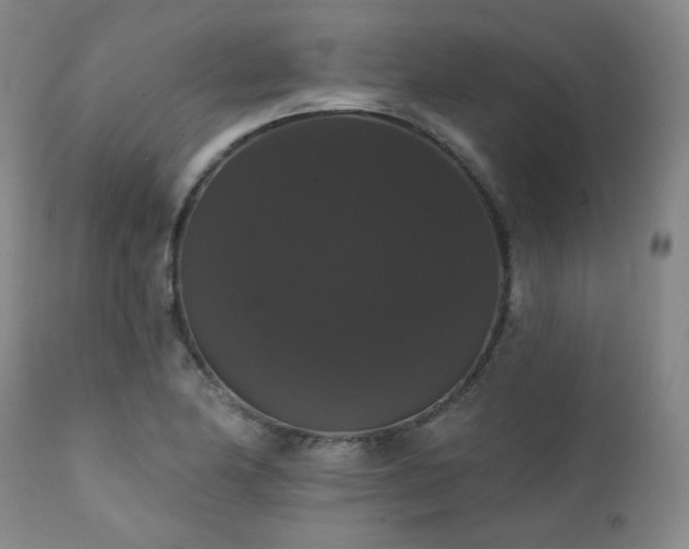 X0000111441174200907131258
