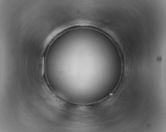 X0000111441175200907131258