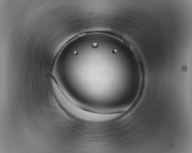 X0000111441177200907131258