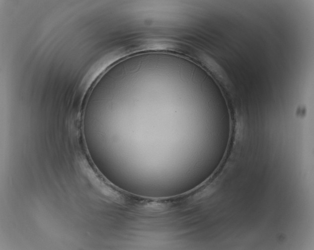 X0000111441178200907131258