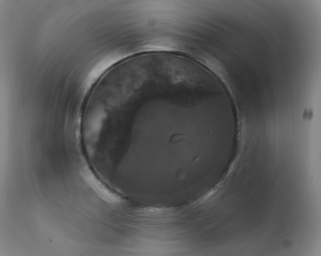 X0000111441179200907131258