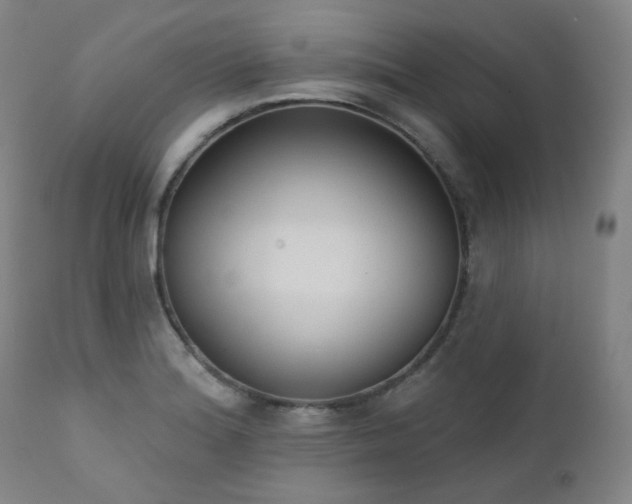 X0000111441180200907131258