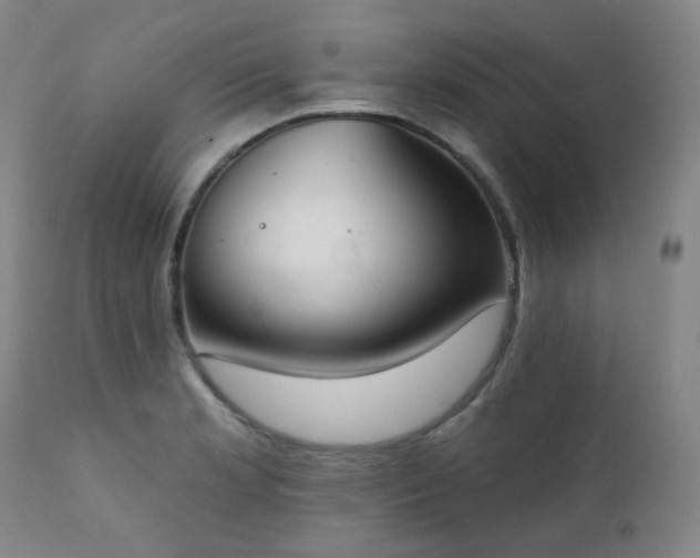X0000111441181200907131258