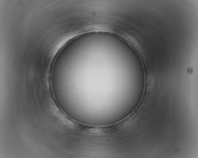 X0000111441182200907131258