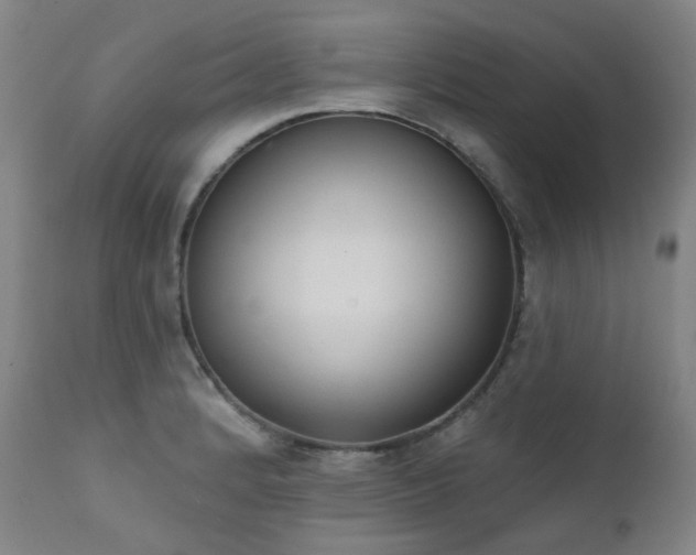 X0000111441184200907131258