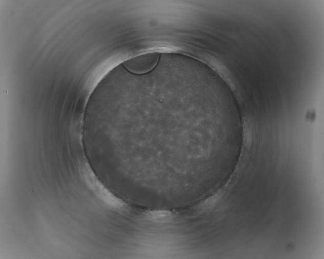 X0000111441186200907131258
