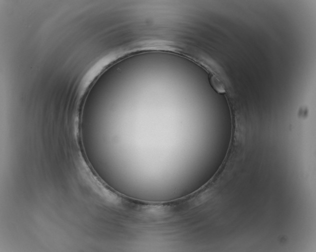 X0000111441188200907131258