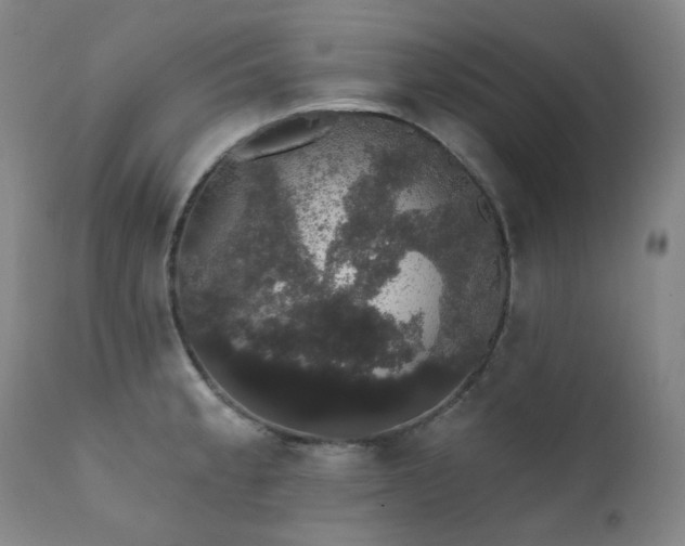 X0000111441189200907131258
