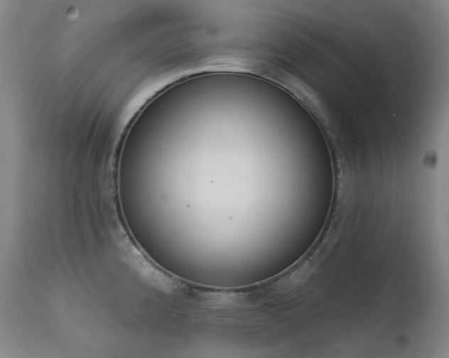 X0000111441192200907131258