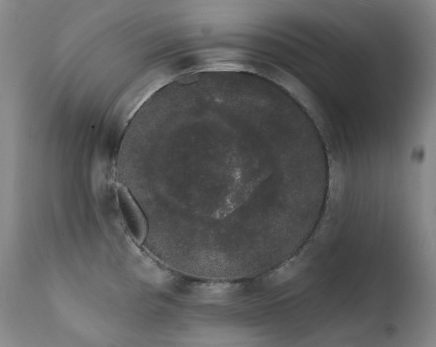 X0000111441193200907131258