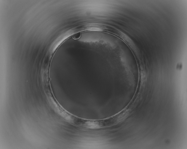 X0000111441194200907131258