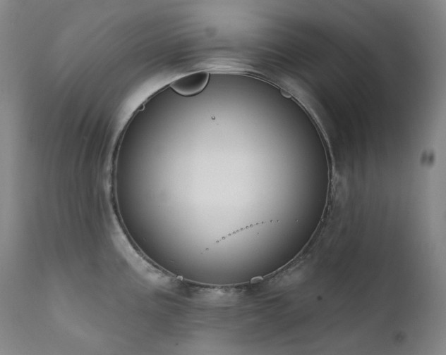 X0000111441195200907131258