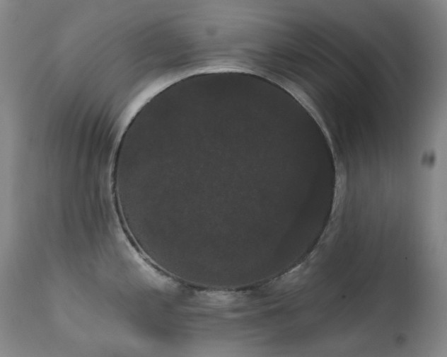 X0000111441197200907131258