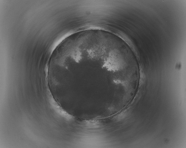 X0000111441198200907131258