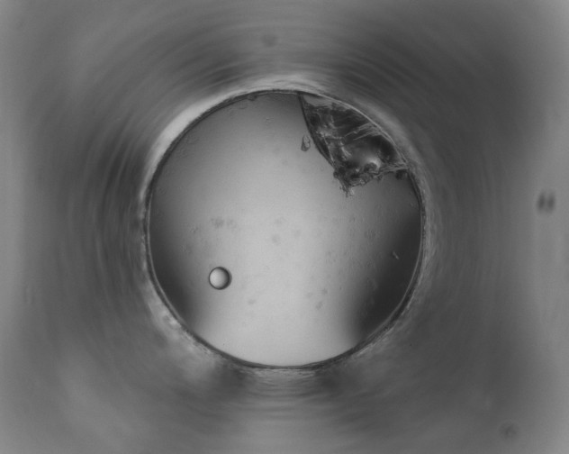 X0000111441200200907131258