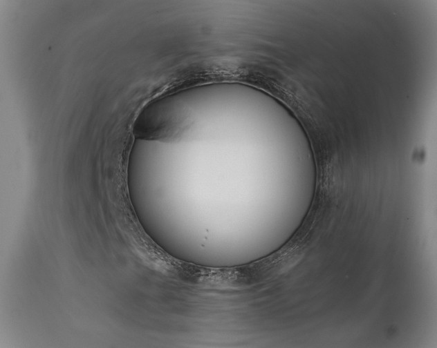 X0000111441201200907131257