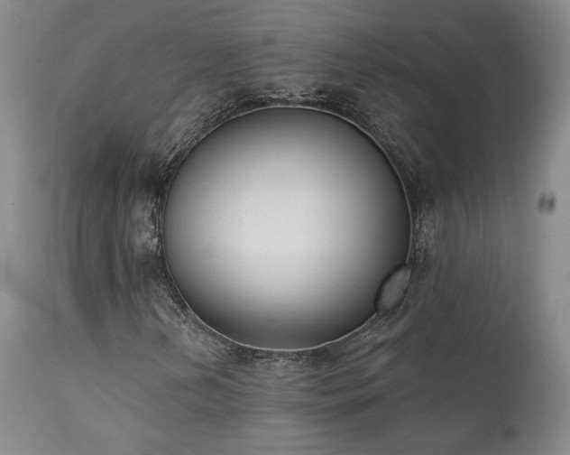 X0000111441202200907131257
