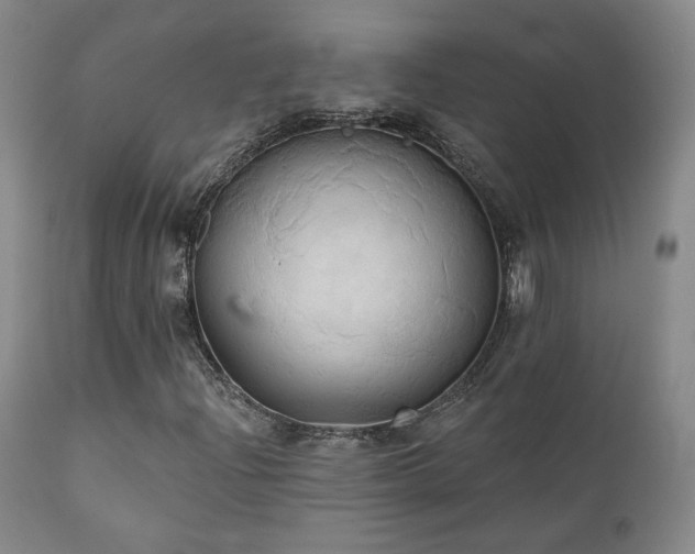 X0000111441204200907131257
