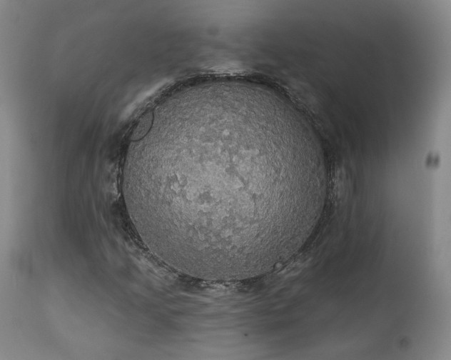 X0000111441205200907131257