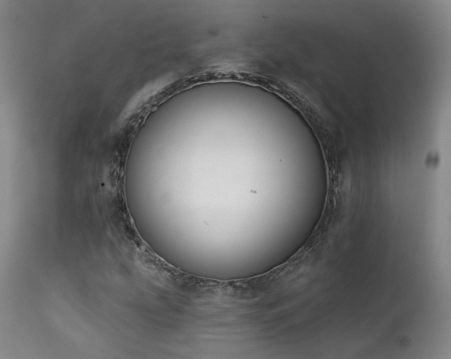 X0000111441207200907131257