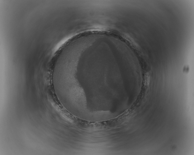 X0000111441208200907131257