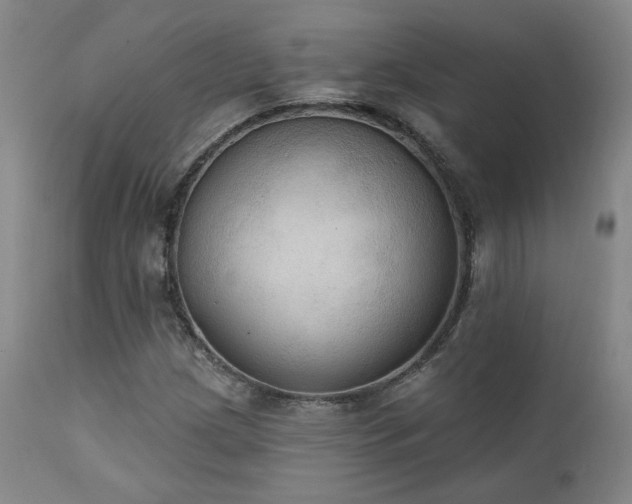 X0000111441209200907131257