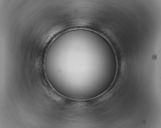 X0000111441210200907131257