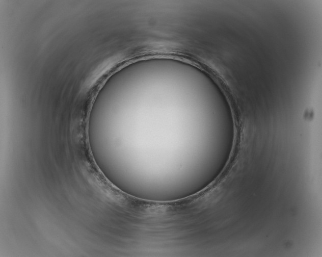 X0000111441211200907131257