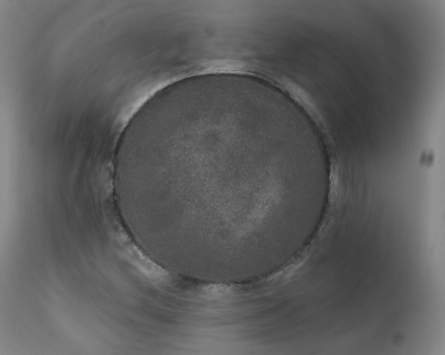 X0000111441212200907131257