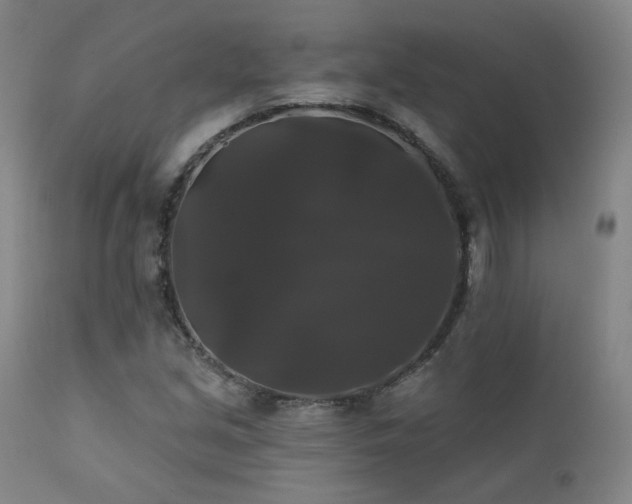 X0000111441213200907131257