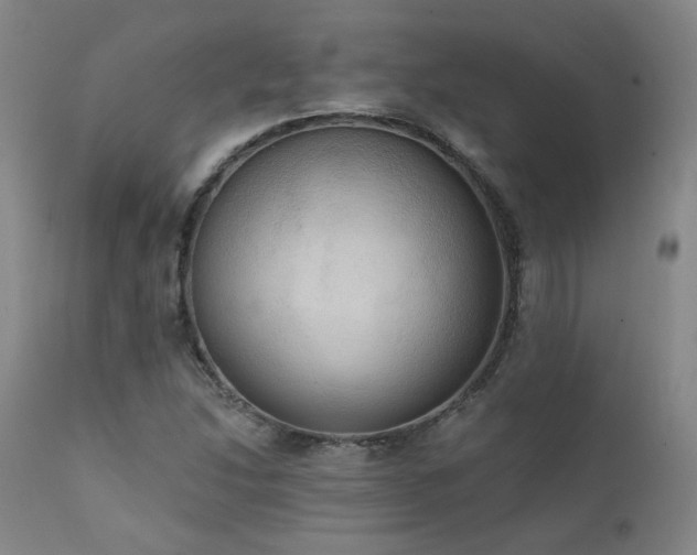 X0000111441214200907131257