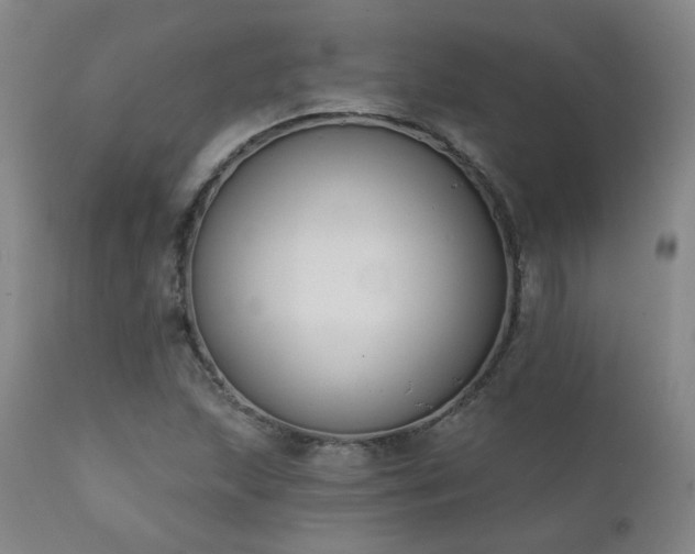 X0000111441215200907131257