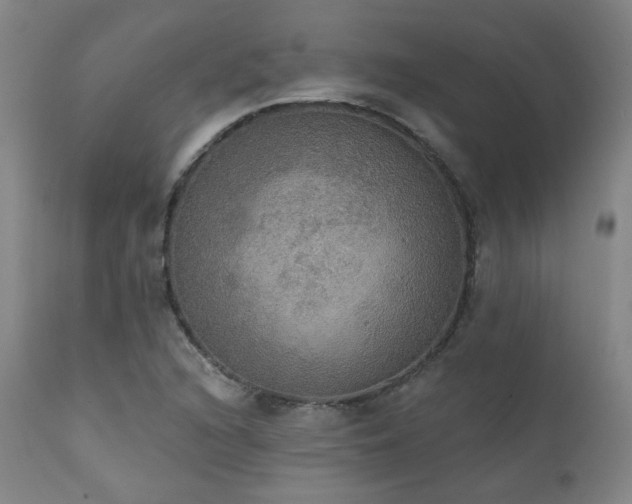 X0000111441216200907131257