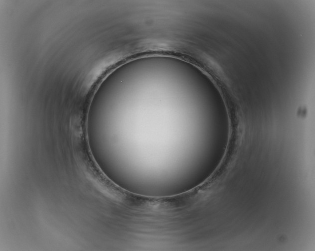 X0000111441218200907131257