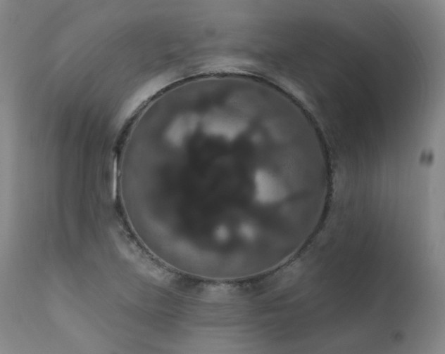 X0000111441219200907131257