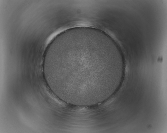 X0000111441222200907131257