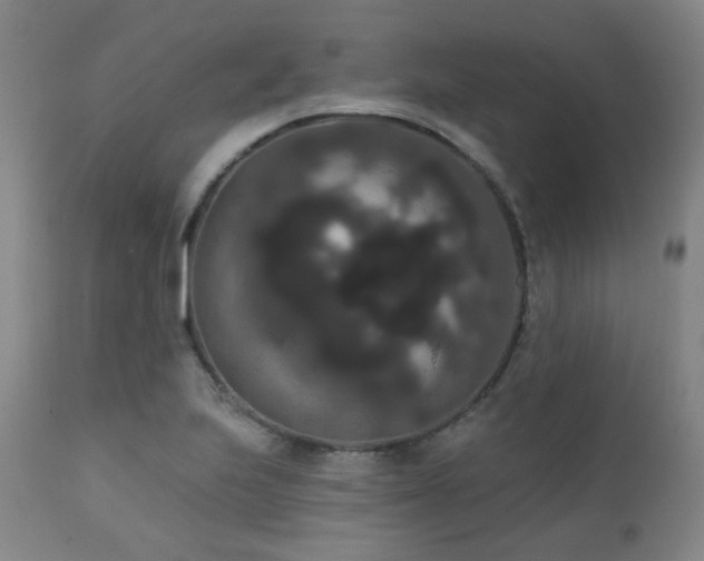 X0000111441223200907131257
