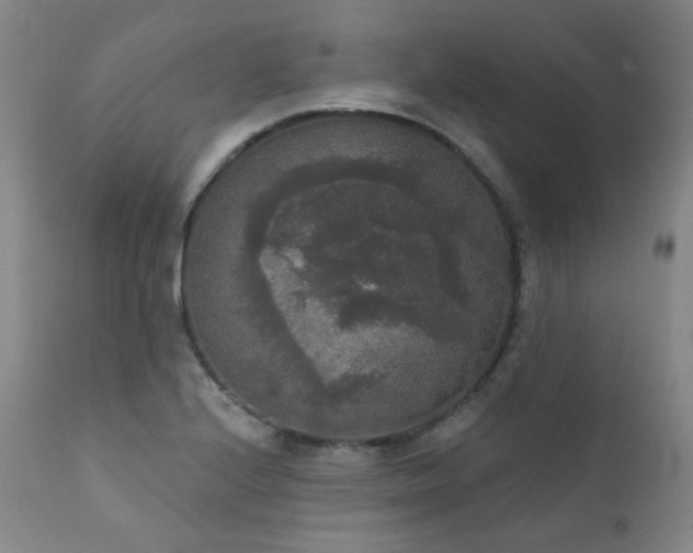 X0000111441224200907131257
