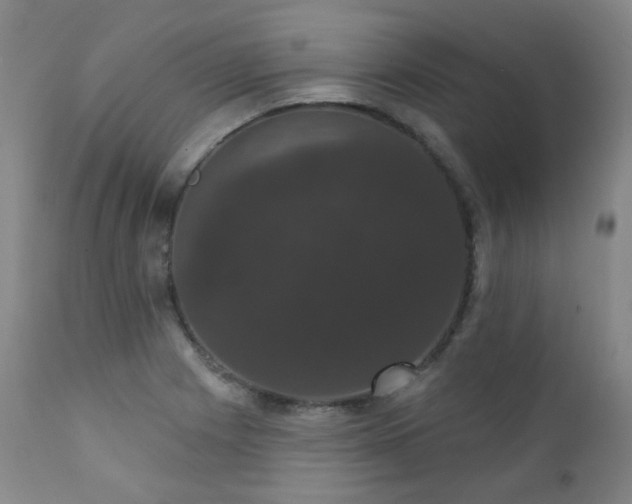 X0000111441225200907131257