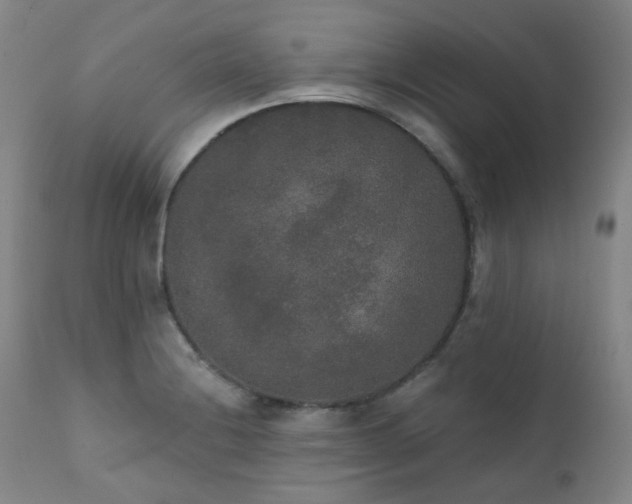X0000111441228200907131257