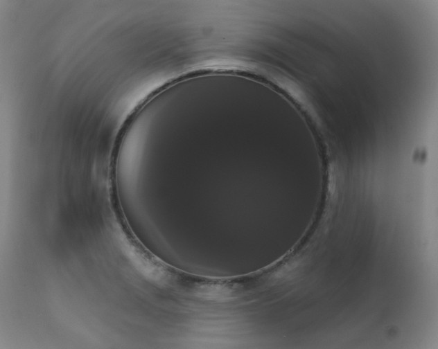 X0000111441229200907131257