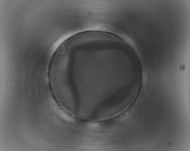 X0000111441230200907131257
