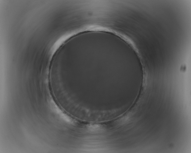 X0000111441231200907131257