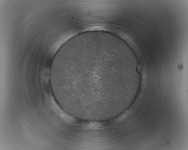 X0000111441233200907131257