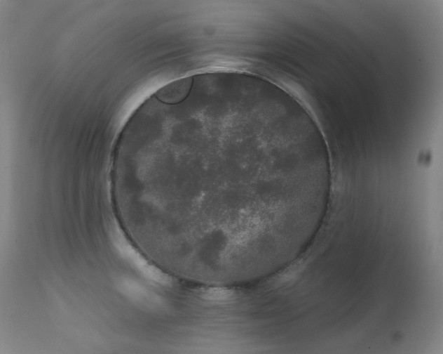 X0000111441235200907131257