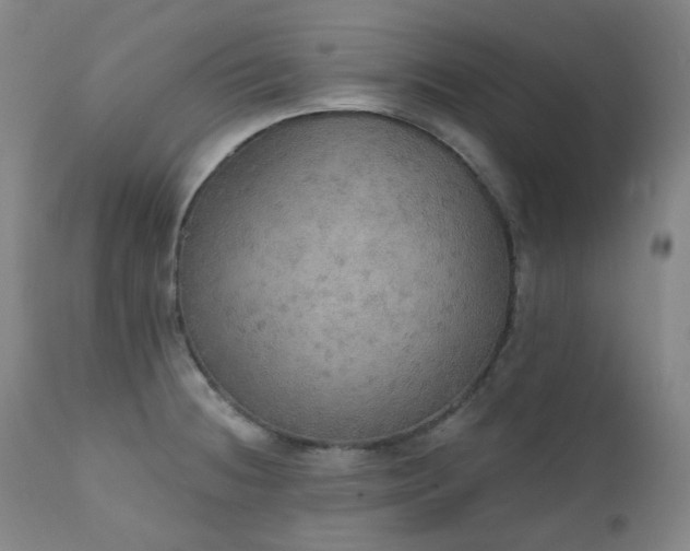 X0000111441236200907131257